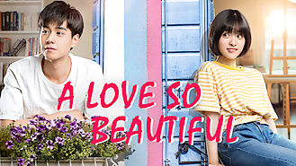 A Love So Beautiful (2017) on Netflix in India A Love So Beautiful (2017) on Netflix in India